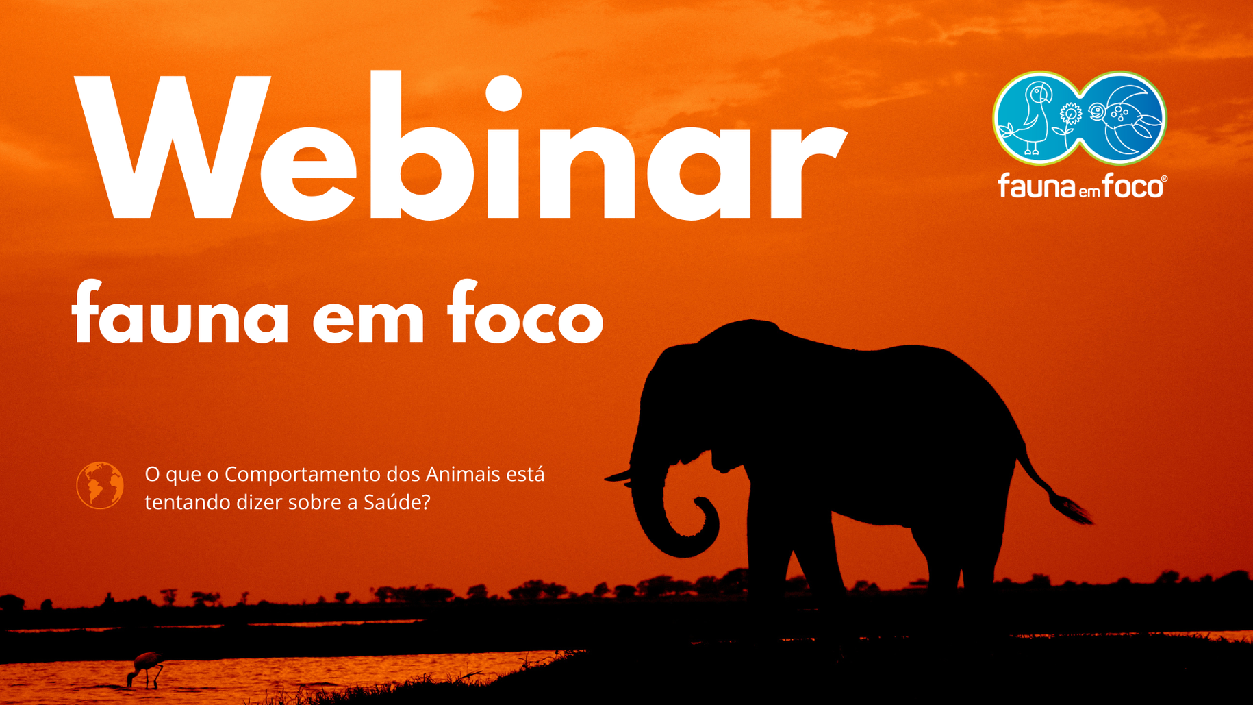 Webinar ao vivo